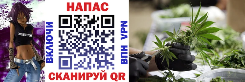 хочу   Тимашёвск  Бошки Шишки OG Kush 